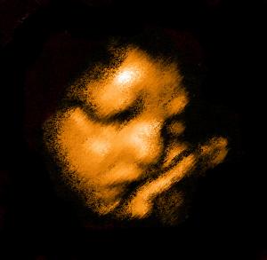 Portrait from the womb - from January 2010